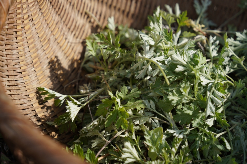 HERBSTAND